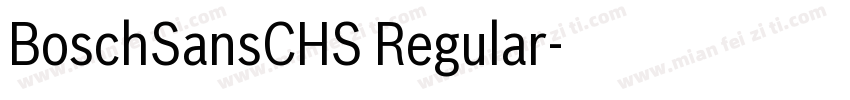 BoschSansCHS Regular字体转换